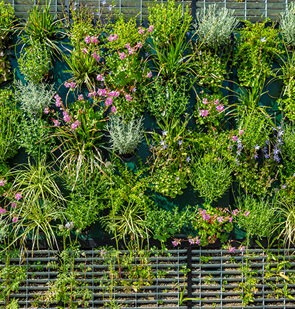 Jardines verticales urbanos